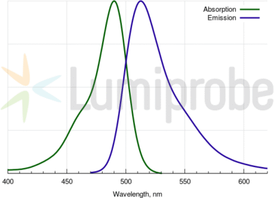 Fluorescein photphoramidites và chất hỗ trợ được sử dụng để biến đổi đầu 3'- và bên trong đầu 5' của oligonucleotide. 10 FAM absorbance emission