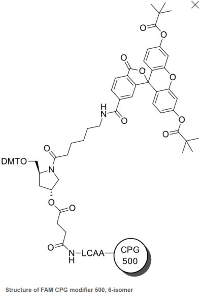 Fluorescein photphoramidites và chất hỗ trợ được sử dụng để biến đổi đầu 3'- và bên trong đầu 5' của oligonucleotide. 6 Screenshot 2024 01 15 093423