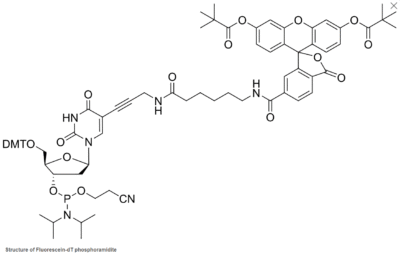 Fluorescein photphoramidites và chất hỗ trợ được sử dụng để biến đổi đầu 3'- và bên trong đầu 5' của oligonucleotide. 11 Screenshot 2024 01 15 101409