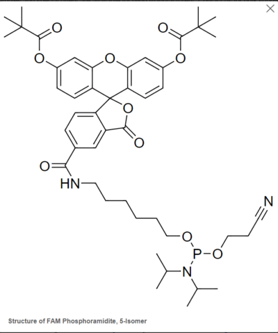 Fluorescein photphoramidites và chất hỗ trợ được sử dụng để biến đổi đầu 3'- và bên trong đầu 5' của oligonucleotide. 7 Screenshot 2024 01 15 113718