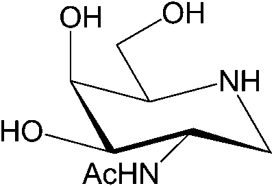 2-Acetamido-1,2-dideoxy-galactonojirimycin, BIOSYNTH (MA34339)