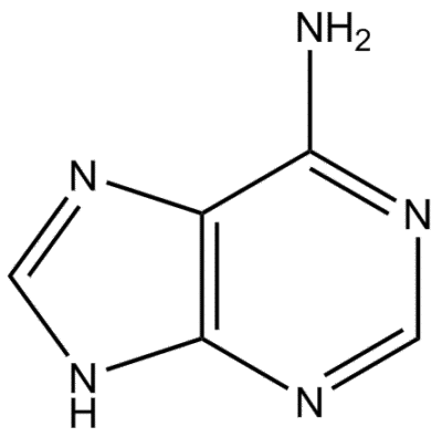 Adenine