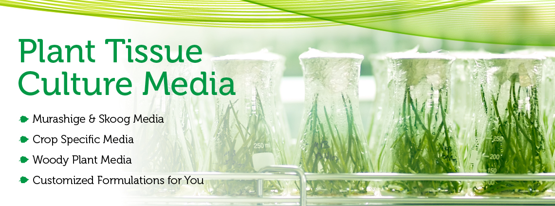 PTL WebHeader PlantMedia