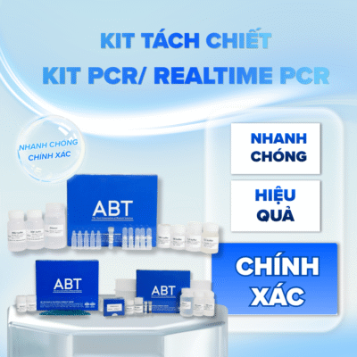 KIT